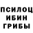 Псилоцибиновые грибы Psilocybine cubensis Sindikat R