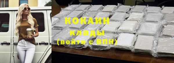 гидра Арсеньев