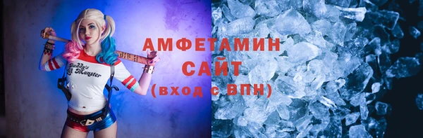 гидра Арсеньев