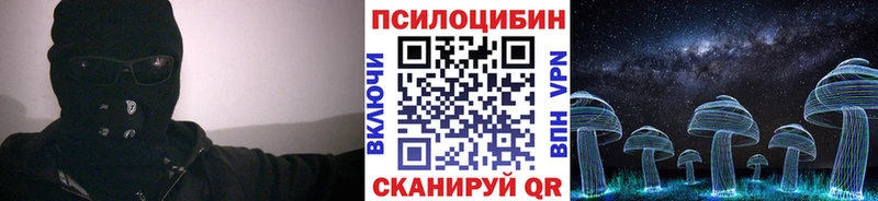Купить  Павловская  Галлюциногенные грибы Psilocybe 
